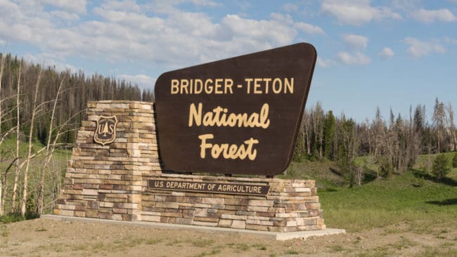 Kadavret låg intill en vandringsled i naturreservatet Bridger-Teton, som gränsar till nationalparken Yellowstone i Klippiga bergen.