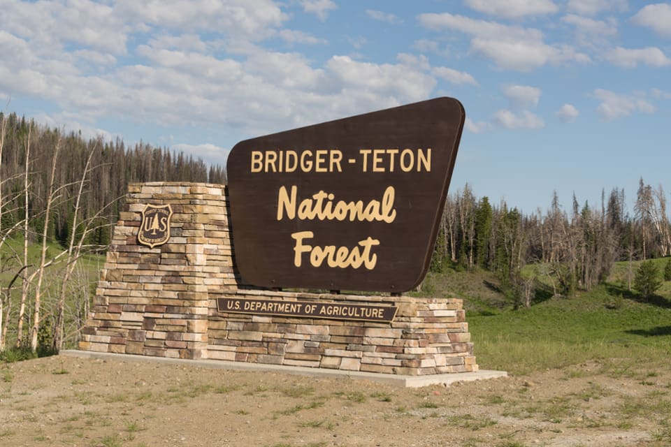 Kadavret låg intill en vandringsled i naturreservatet Bridger-Teton, som gränsar till nationalparken Yellowstone i Klippiga bergen.