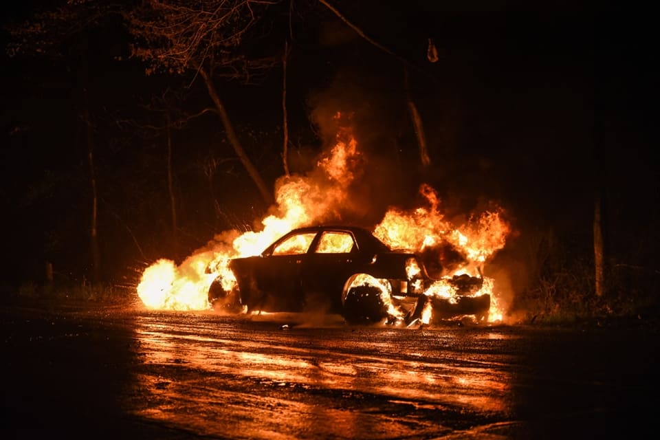 Stenmården gnager sönder kablar och i värsta fall kan eldsvådor i bilar och hus bli resultatet.
