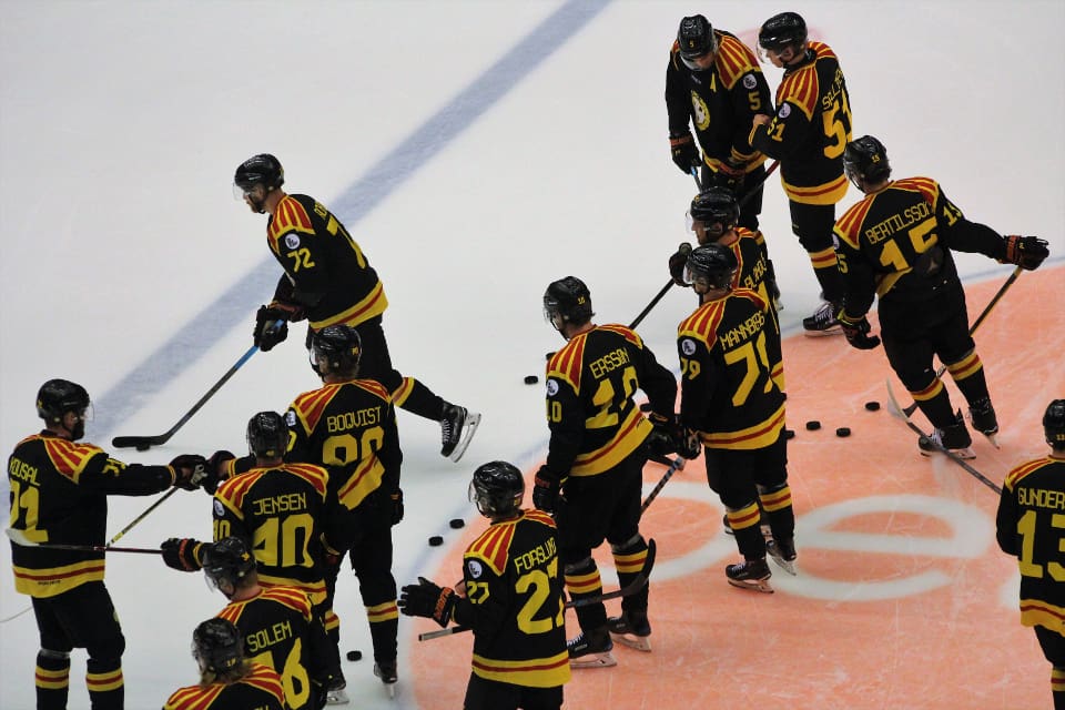 Ytterligare två ishockeyspelare är inblandade i den omfattande muthärvan kring jägarbevis. Båda har tidigare spelat i Brynäs. (arkivbild)