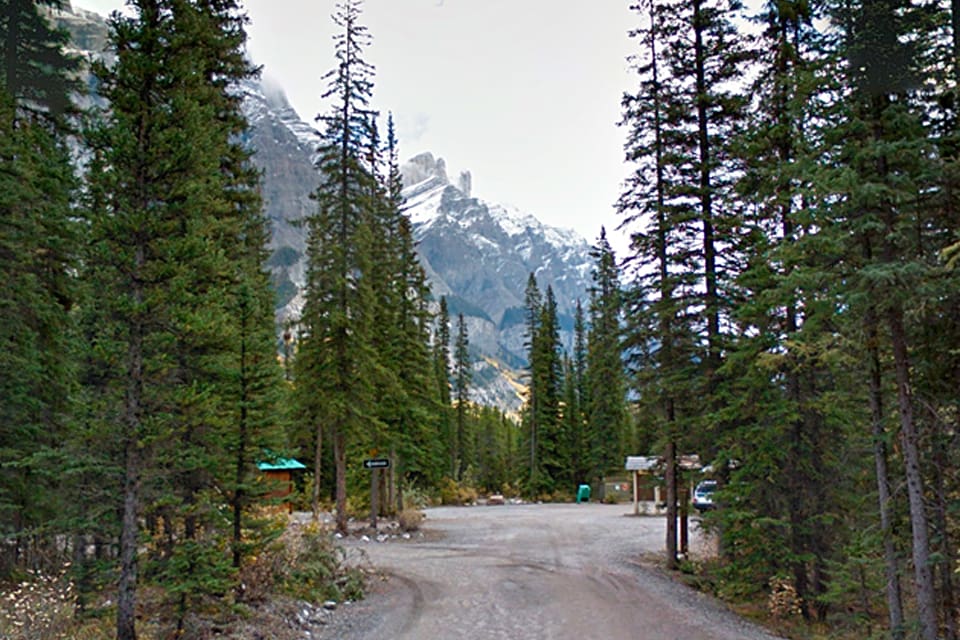 Vid campingplatsen Rampart Creek i Banffs nationalpark i Kanada blev en tältande man biten i båda underarmarna av en varg som sedan avlivades av parkpersonal.