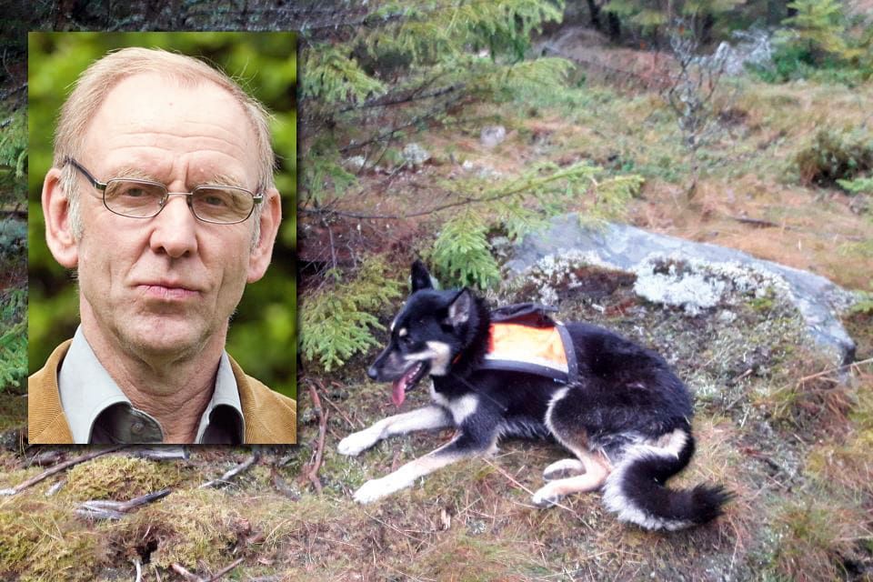 De 15 år gamla föreskrifterna för att få skyddsjakt på varg efter vargattacker mot hundar är totalt otidsenliga. JRF-ståndpunkten att det inte finns utrymme för varg i Sverige framstår som allt mer självklar, skriver Henrik Tågmark, vice förbundsordförande i JRF.