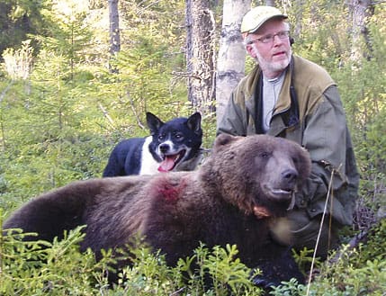 Tuff och björnen som Conny Sandström sköt under förra årets älgjakt. Nu är det slutjagat för Tuff, som hittades död i ett dike.