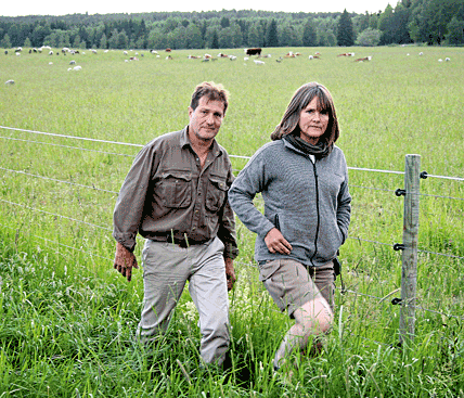 Drabbade av rovdjur. Walter och Gunilla Preiholts vardag har genomgått en omvälvande förändring på grund av rovdjuren.