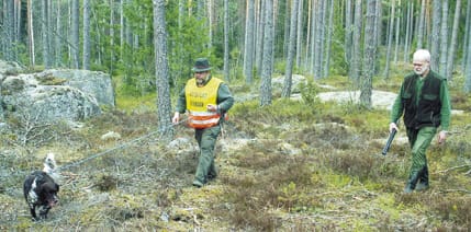 I dag kostar eftersöksuppdragen mindre än en miljon kronor årligen för samhället. Det nya förslaget innebär att det kostar mellan sex och åtta miljoner kronor när jägare ges ersättning för eftersök på trafikskadat vilt.