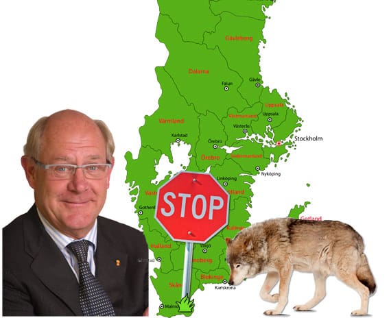 Ska Skåne hysa vargrevir? Nej, det tror inte Vargkommitténs ordförande Peter Egardt på. Han finner det orimligt att alla tamboskap i exempelvis Skåne ska stängslas in mot varg.