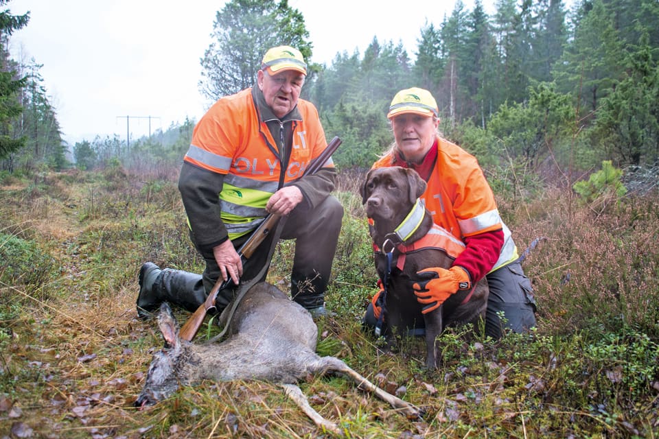 Polisen i Värmland har via sociala medier efterlyst fler trafikeftersöksjägare, främst ekipage med hundar som klarar eftersök på påkörda rådjur. Förra året var det 2 873 rådjur i rapporterade viltolyckor i Värmland.