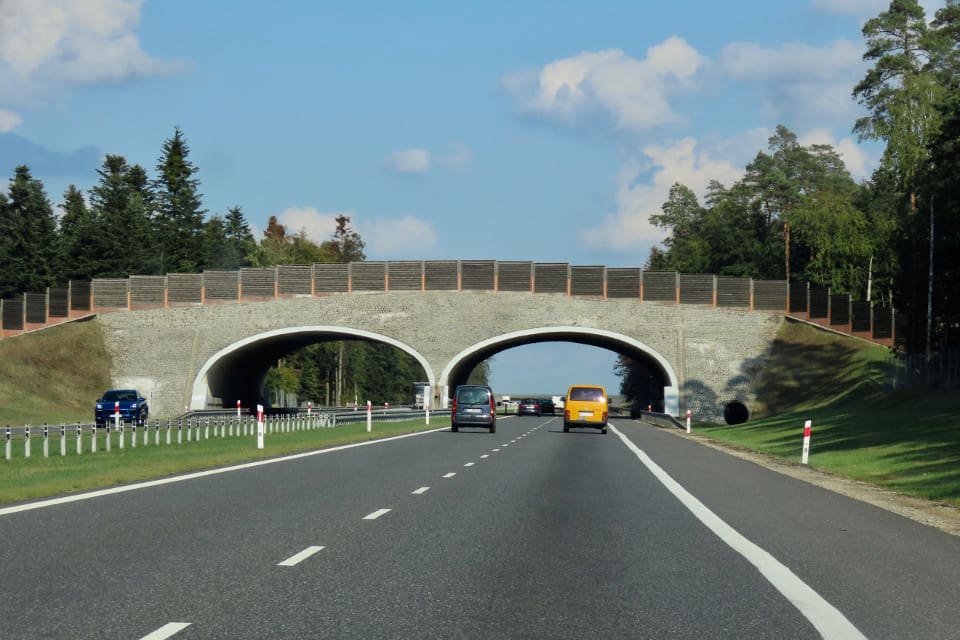 En faunabro över motorvägen A2 som förbinder Warszawa med Berlin. Viltövergångar som är mer än 30 meter breda kallas ekodukter.