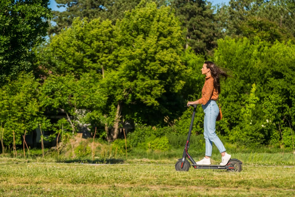 En person åkte på elsparkcykel för att skrämma bort fyra vargar vid en hage med hästar och får utanför Hannover. (Arkivbild)