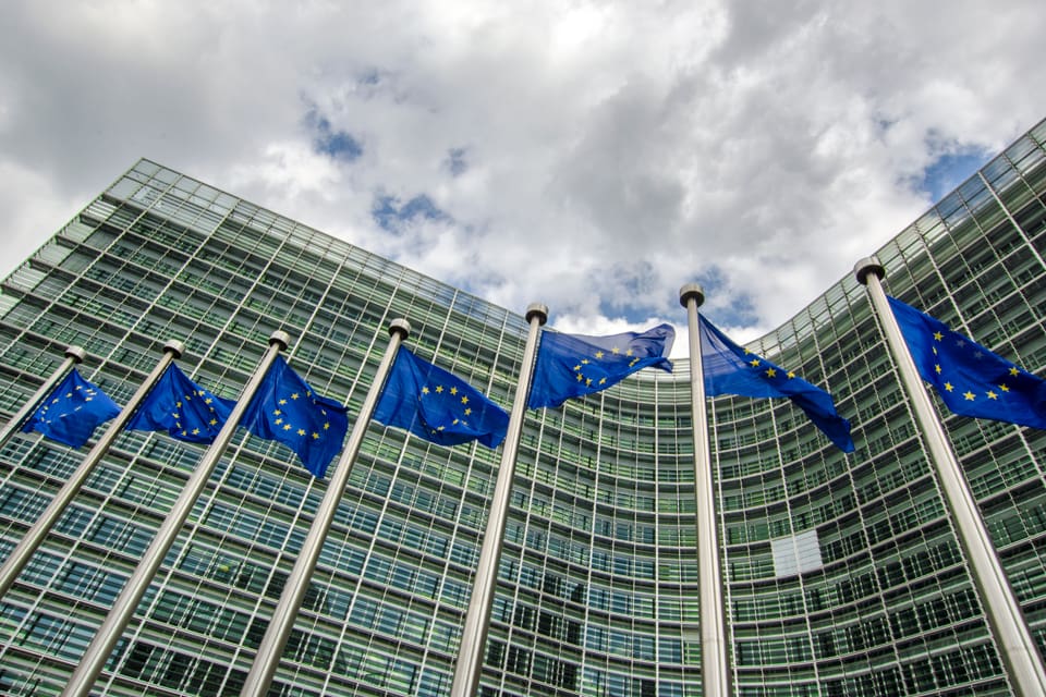 Face, som jobbar för jägarna i EU-länderna, vill ha ett möte med de två ansvariga EU-kommissionärerna om misstänkt mygel för att få fram ett förbud mot blyhagel. Aktivistiska tjänstemän har med hjälp av Birdlife International försökt påverka EU-beslut.