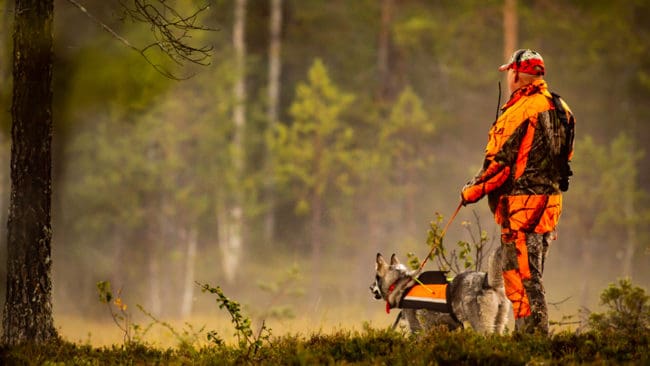 Jägarnas Riksförbund, JRF, uppmanar regeringen att jobba för att stoppa det föreslagna EU-förbudet mot jakt och annat naturbrukande. Förbudshotet gäller strikt skyddade naturområden på tio procent av Sveriges yta.