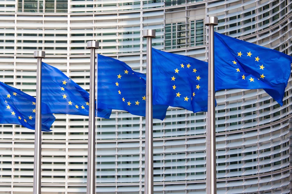 På flera punkter vill regeringen bromsa EU-förslaget som bland annat kan stoppa vargjakt i Sverige.