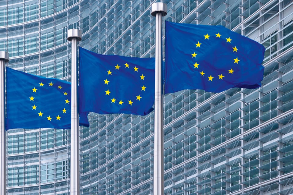 En majoritet i EU-nämnden bestämde idag att Sveriges regering måste säga nej till ett EU-förbud mot blyhagelammunition trots att regeringen vill ha ett förbud.