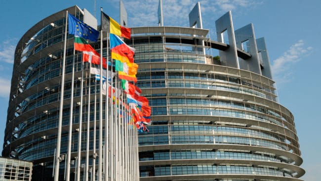 Miljöpartiets tre EU-parlamentariker går till motangrepp mot bland andra KD:s Sara Skyttedal och dementerar att de röstat för att förbjuda viltkött i EU-länderna.