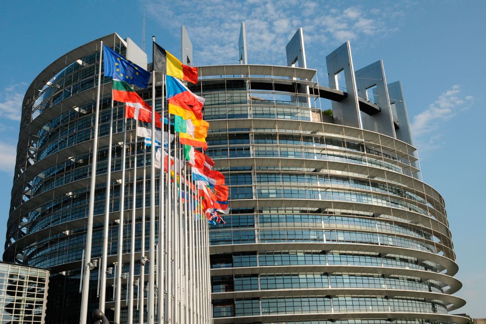 Miljöpartiets tre EU-parlamentariker går till motangrepp mot bland andra KD:s Sara Skyttedal och dementerar att de röstat för att förbjuda viltkött i EU-länderna.