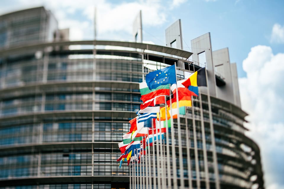 339 EU-parlamentariker röstade nej till att ha debatt om blyfrågan. En enda svensk EU-parlamentariker ville debattera förbudet mot blyammunition.