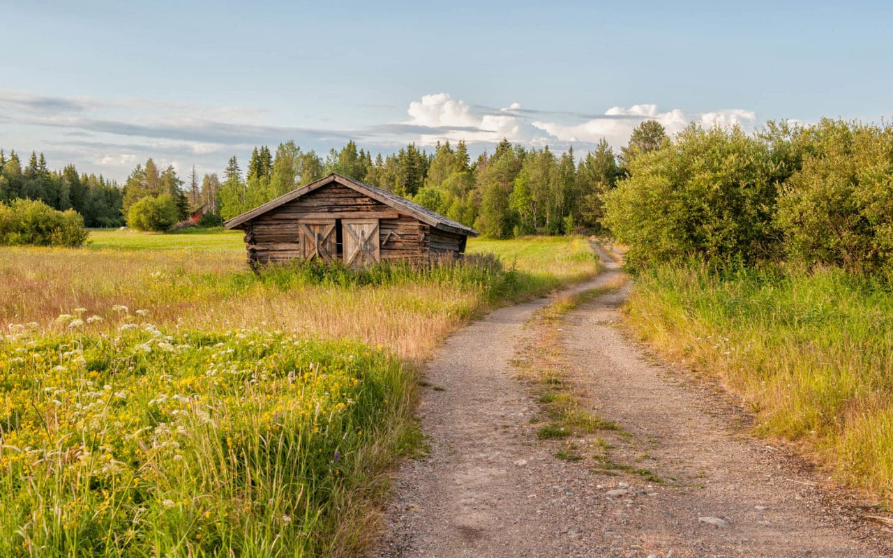 Förändringen av landsbygdens odlingslandskap påverkar arterna mest, men myndigheterna driver nu folk från landbygden genom allt fler regler, anser skogsprofessorn Mats Nylinder .