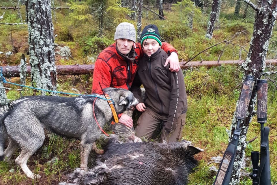 Jämthundstiken Ahlena var en mycket duktig jakthund och kenneln första jaktchampion.