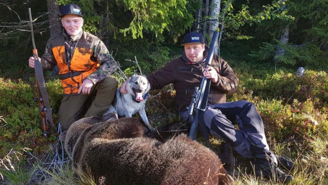 16-årige Lukas Strömberg och Fredrik Ottosson, som ansvarade för uppsiktsjakten, sköt båda när björnhannen kom i pass med gråhunden Anton efter sig. Jakten utspelades i Krokoms kommun i Jämtland.