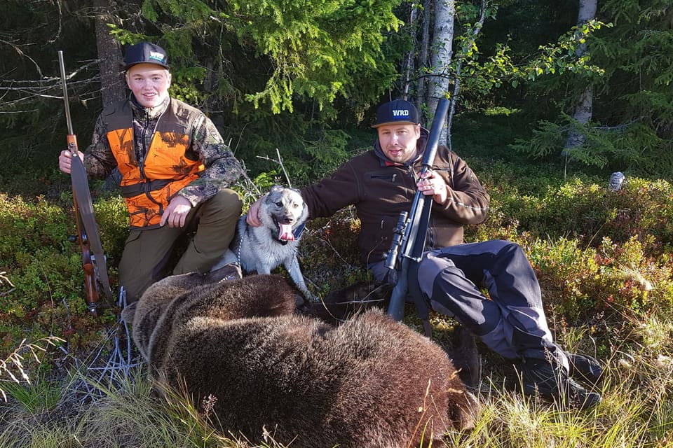 16-årige Lukas Strömberg och Fredrik Ottosson, som ansvarade för uppsiktsjakten, sköt båda när björnhannen kom i pass med gråhunden Anton efter sig. Jakten utspelades i Krokoms kommun i Jämtland.