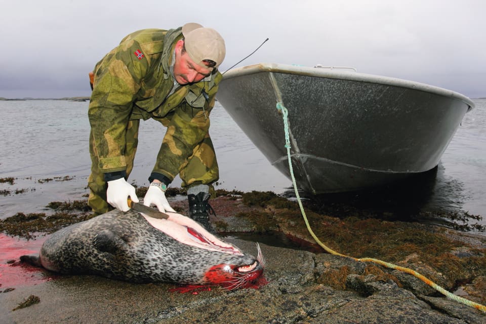 I ett tillkännagivande uppmanar riksdagen att regeringen ska jobba för att undanröja EU-förbudet som gör jägare inte kan sälja bland annat kött och pälsar från fällda sälar.