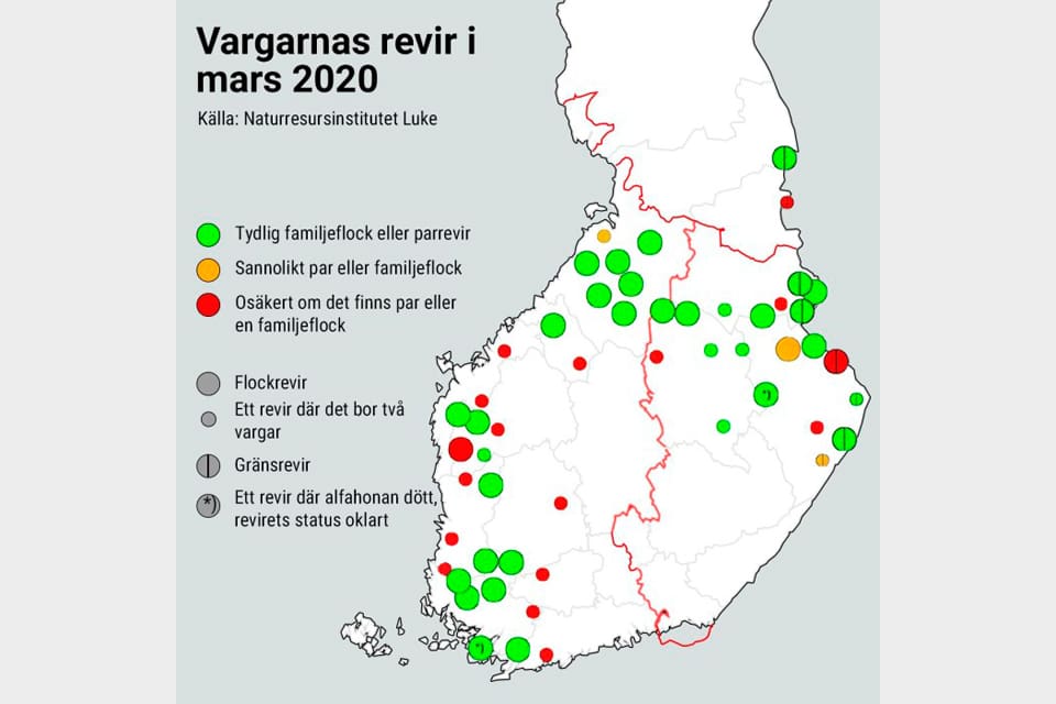 Det är dags att ha licensjakt på varg i Finland, tycker Jägarförbundet. Den senaste inventeringen visar att det fanns uppåt 250 vargar, mot cirka 200 säsongen före.