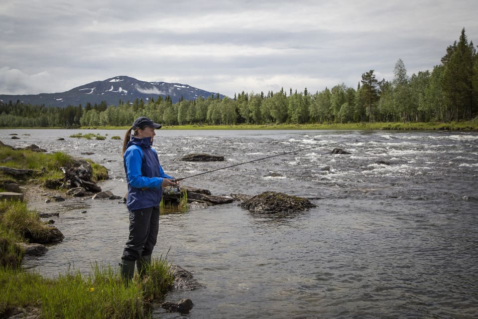 Kommerskollegium har inga synpunkter på att Girjas sameby endast säljer fiskekort till boende i Norrbotten.