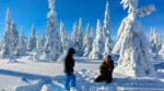 Markägare vann mot staten, som måste betala drygt 18 miljoner kronor till flera markägare som inte har beviljats tillstånd att avverka fjällnära skog. Avgörandet är intressant eftersom även jaktfrågor kan vara kopplade till markäganderätten, tycker Victoria Kärrman, ordförande för Jägarnas Riksförbunds distrikt i Norrbotten.