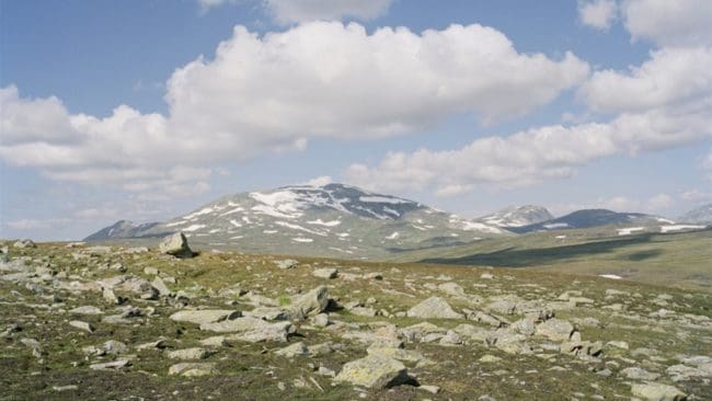 Girjas sameby vann det avgörande målet om vem som ska äga rättigheterna som är förknippade med renbetesland och fjäll.