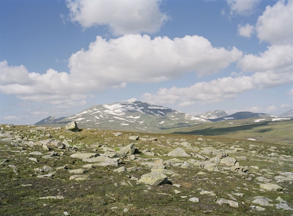Girjas sameby vann det avgörande målet om vem som ska äga rättigheterna som är förknippade med renbetesland och fjäll.