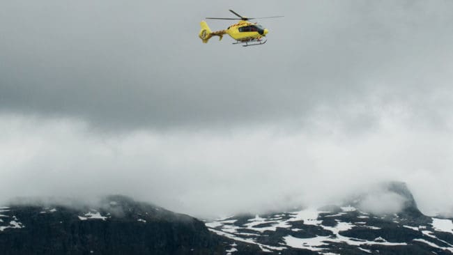 En varghanne som troligen var ”genetiskt värdefull” avlivades från helikopter på torsdagen. Att värna renskötseln i området i Nordnorge sågs som mer värdefullt. (Arkivbild)