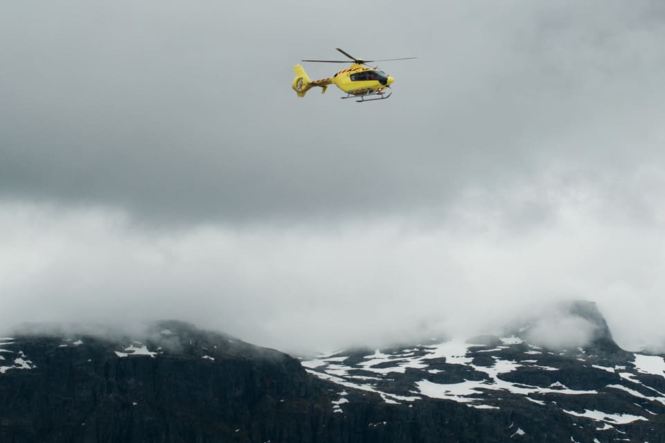En varghanne som troligen var ”genetiskt värdefull” avlivades från helikopter på torsdagen. Att värna renskötseln i området i Nordnorge sågs som mer värdefullt. (Arkivbild)