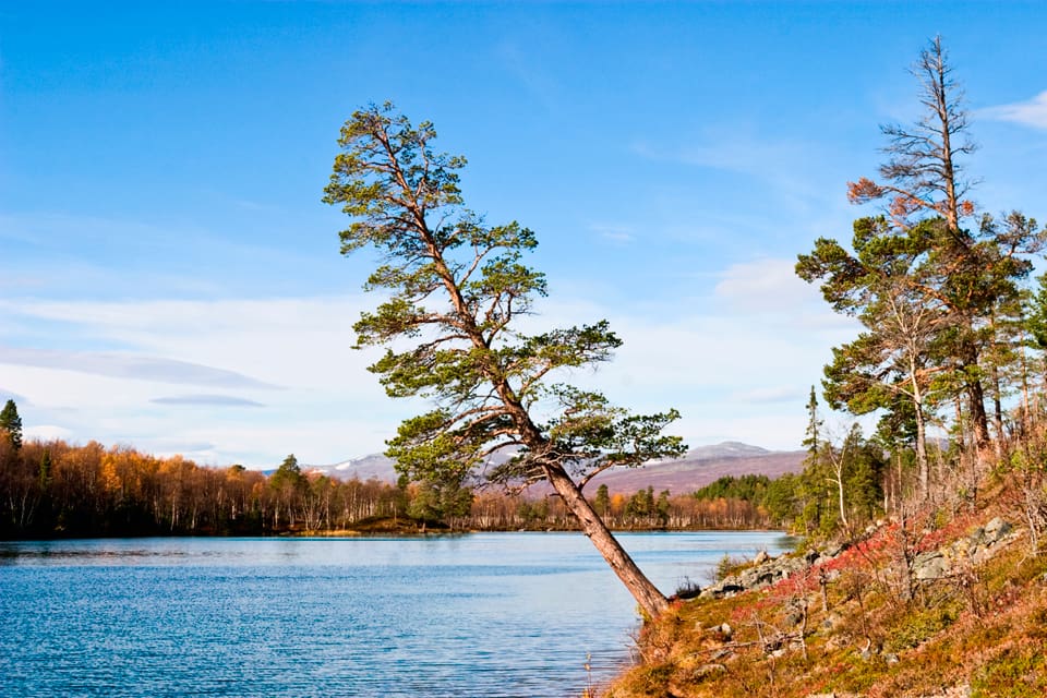 Parterna, med bland andra de berörda samebyarna, kunde inte komma överens om att bilda Sveriges största nationalpark i Jämtlandsfjällen. Därmed skrotar Naturvårdsverket projektet att ha en nationalpark i Vålådalen-Sylarna-Helags.