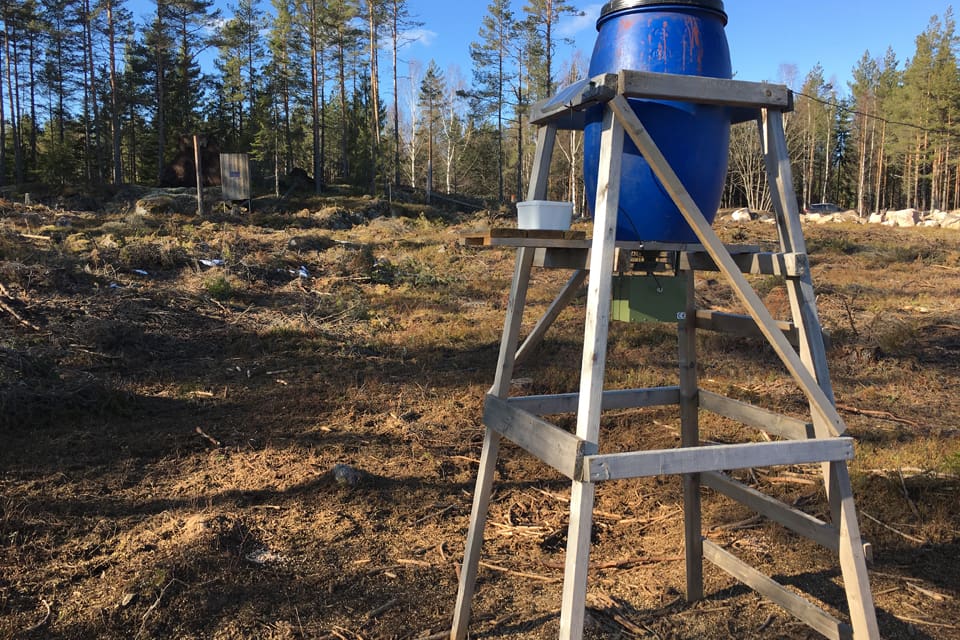 Regeringen vill att länsstyrelserna ska kunna förbjuda viltutfodring som kan ge skador i trafiken eller jord- och skogsbruk. Att mata vilt på åtelplatser för jakt ska dock vara tillåtet. JRF tycker att utfodring istället ska regleras frivilligt av jägare och markägare som samråder.