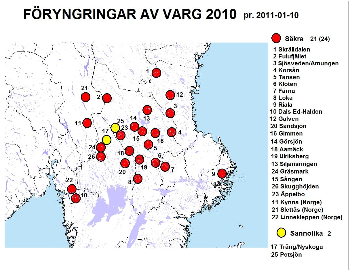 Kartan över vargbältet. Så här ser forskarnas karta över vargföryngringarna ut. Röda pluttar är säkra valpningar, gula sannolika.