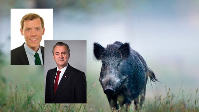 Johan Hultberg (M) vill ha besked från landsbygdsminister Sven-Erik Bucht (S) hur det blir med möjligheter för jägare att kunna sälja vildsvinskött utan att behöva gå omvägen via en vilthanteringsanläggning.