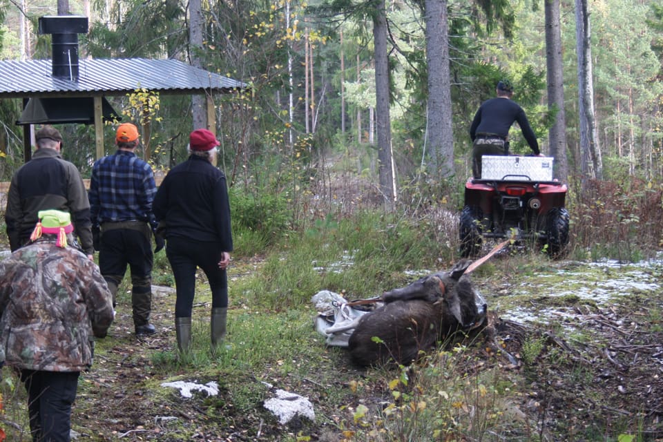 Länsstyrelsen i Dalarna går ut med riktad info till älgjägarna för att påminna hur reglerna kring terrängkörning med motordrivna fordon ser ut. (Arkivbild)
