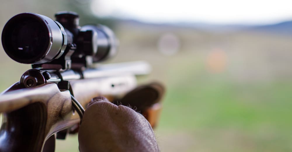 Delsbo viltvårdsförening har fått vapen och ammunition beslagtagna och riskerar att förlora licenserna.