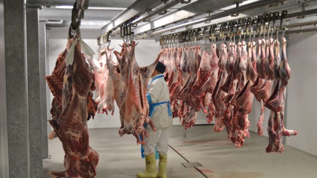 Livsmedelsverket laddar för att i september få ut förslaget om hur jägare lättare ska kunna avyttra vildsvinskött. Med nuvarande regler krävs att köttet tas om hand av en speciell vilthanteringsanläggning. Då blir det svårt att höja avskjutningen av vildsvin.