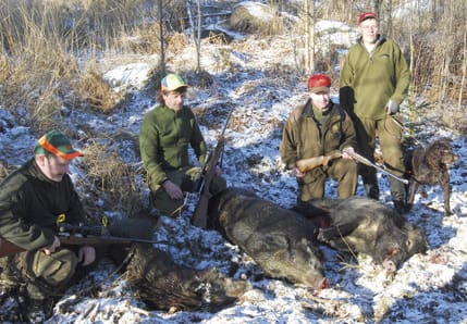 Daniel Jonsson, Staffan Silfverhjelm, Magnus Åhlfeldt och hundföraren Tapio Mullfors med wachteln Ludde.