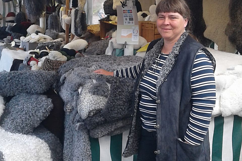 Gudrun Haglund-Eriksson i Fåravelsförbundet dömer ut kravet på godkända elstängsel innan det kan bli skyddsjakt på en fårdräpande varg i Halland. Hon vill utöka reglerna för skyddsjakt i paragraf 28, så vargar kan spåras och skjutas när de lämnat en hage.