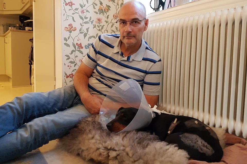 Håkan Wessman har fått hem sin medtagna tax Elsa som bland annat fick en stor dos smärtlindring hos veterinären.