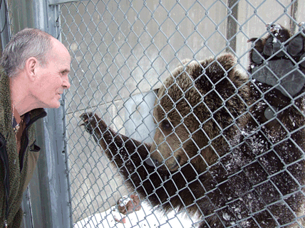 Gunnar Håkansson vid en av björnarna i Orsa björnpark. Nu förbereder han en JRF-kurs för jägare inför försöket med åteljakt på björn i höst.