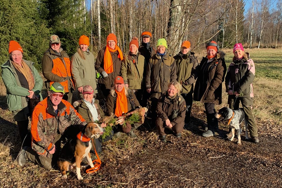Två harar sköts för stövarna när JRF i Nykvarn-Södertälje arrangerade harjakt för elfte året i rad för kvinnliga medlemmar. Den här gången deltog 13 kvinnor.
