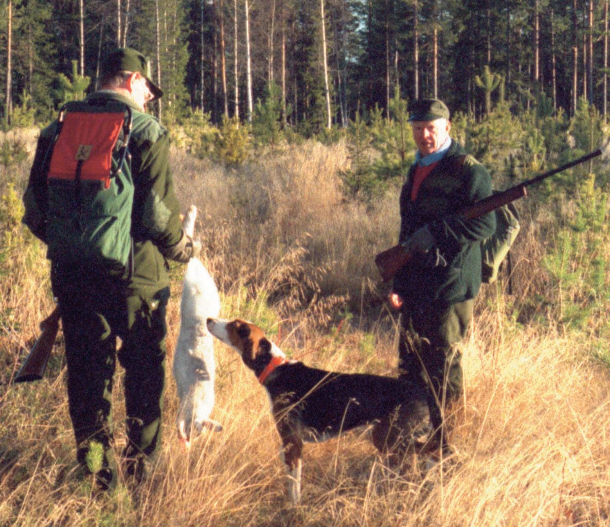 Stövarklubben i Värmland kräver krafftag mot vargproblemen. Både jakt med löshund och provverksamheten i Värmland stoppas på grund av risken för vargangrepp.