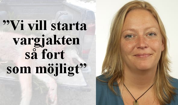 Helén Pettersson poängterar att hon är ansvarig för Socialdemokraternas rovdjurspolitik i Riksdagen.