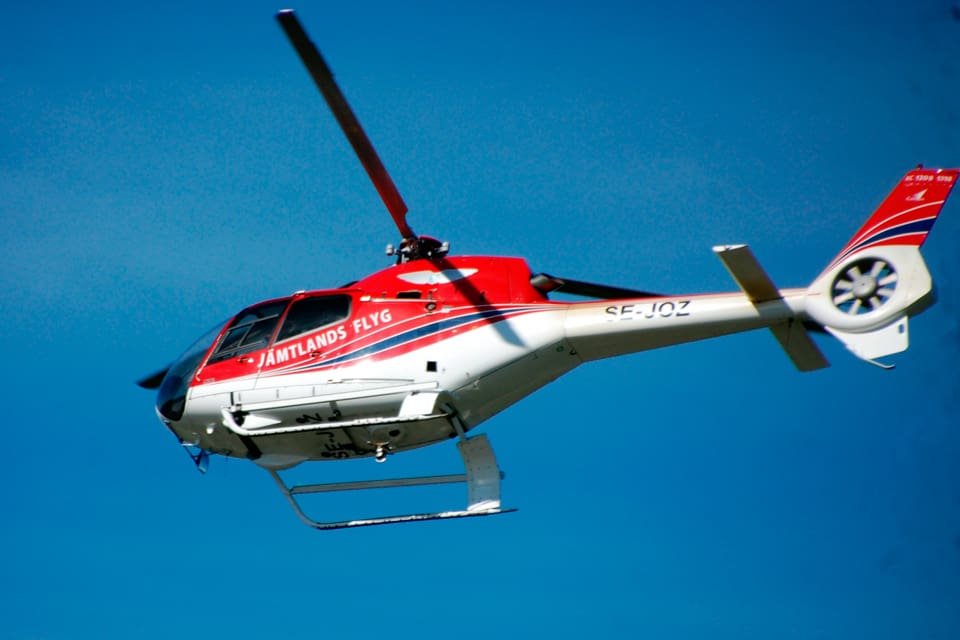 Två björnar som lämnat sina iden och var bland renar i kalvningsområdet hos Jijnjevaerie sameby i Jämtland sköts från en lågflygande helikopter. Även en nyvaken björn som finns i Ruvthen Sitje är det skyddsjakt på. (Arkivbild)