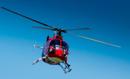Länsstyrelsen överväger att sätta in helikopter för att få två vargar i Skultunareviret skjutna. (Arkivbild)