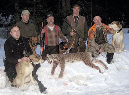 Fick lodjuret till slut. Ludde Norén med laikan Olga, Jocke Åberg med schillern Stina (Lövabyns Frida), skytten Kaj Rehnholm, Carl Söderberg med schillern Velox (Dihekas Lille-Far) och Jens Fogéus med laikakorsningen Ludde.