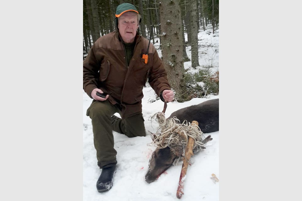 Sören Lindsnäs med den skjutna dovhjorten i södra Dalarna. Hjorten har fått både en stolpe och stängseltråd intrasslat i hornet.